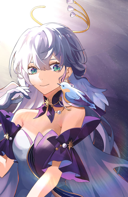 Honkai Star Rail Prints - Robin